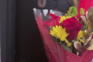 daintybabyelle 过年喜庆爱爱要生小孩  背景图片