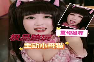 小母猫  背景图片