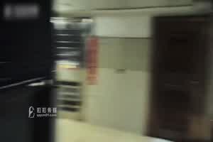 不见星空 捕获萝莉小僵尸  背景图片