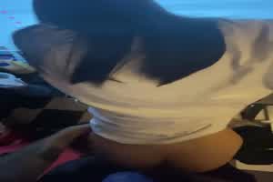 艹爆骚货一个个都带回家艹  背景图片