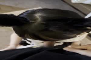 私拍流出 小罗莉口交服侍主人  背景图片