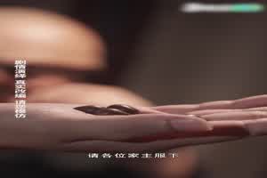 我的5个倾城未婚妻13  背景图片