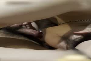 门事件 中国人民大学教授 王贵元 猥亵女学生遭举报 防东窗事发买通他人下药拍不雅视频威胁女方  背景图片