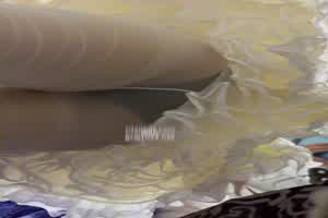 白衣天使裙下有小可爱  背景图片