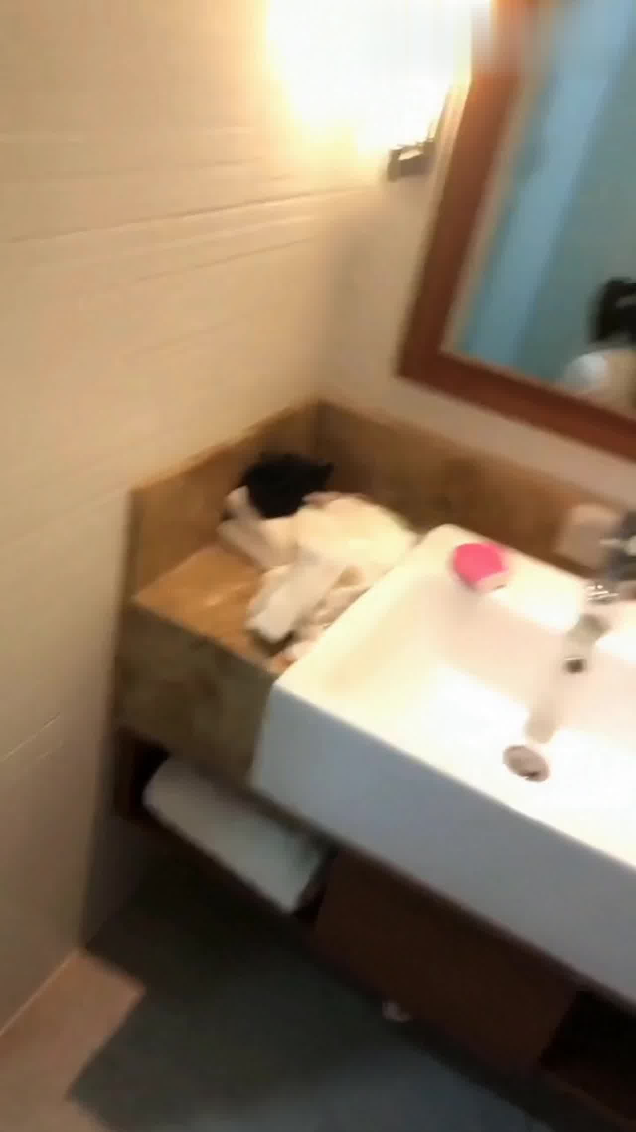  无锡南商学院周添琪吃炮友肉棒 的剧照4