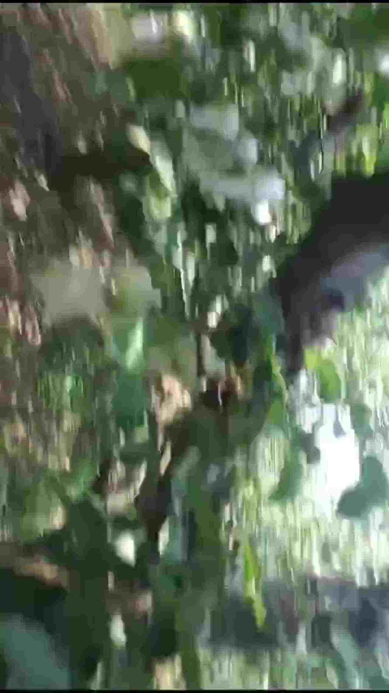  果园内狂草极品骚妇 的剧照5