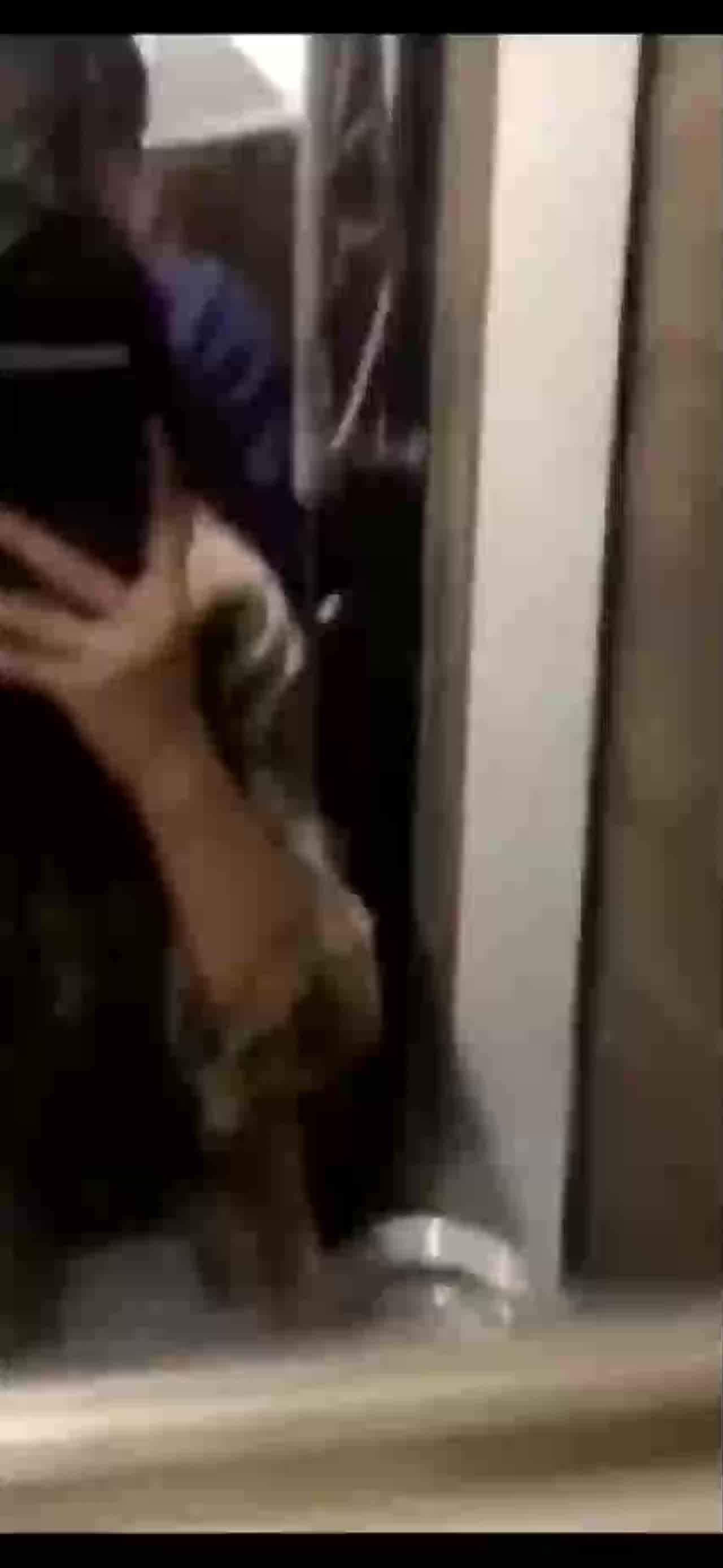  和男友厕所做爱自拍 的剧照10