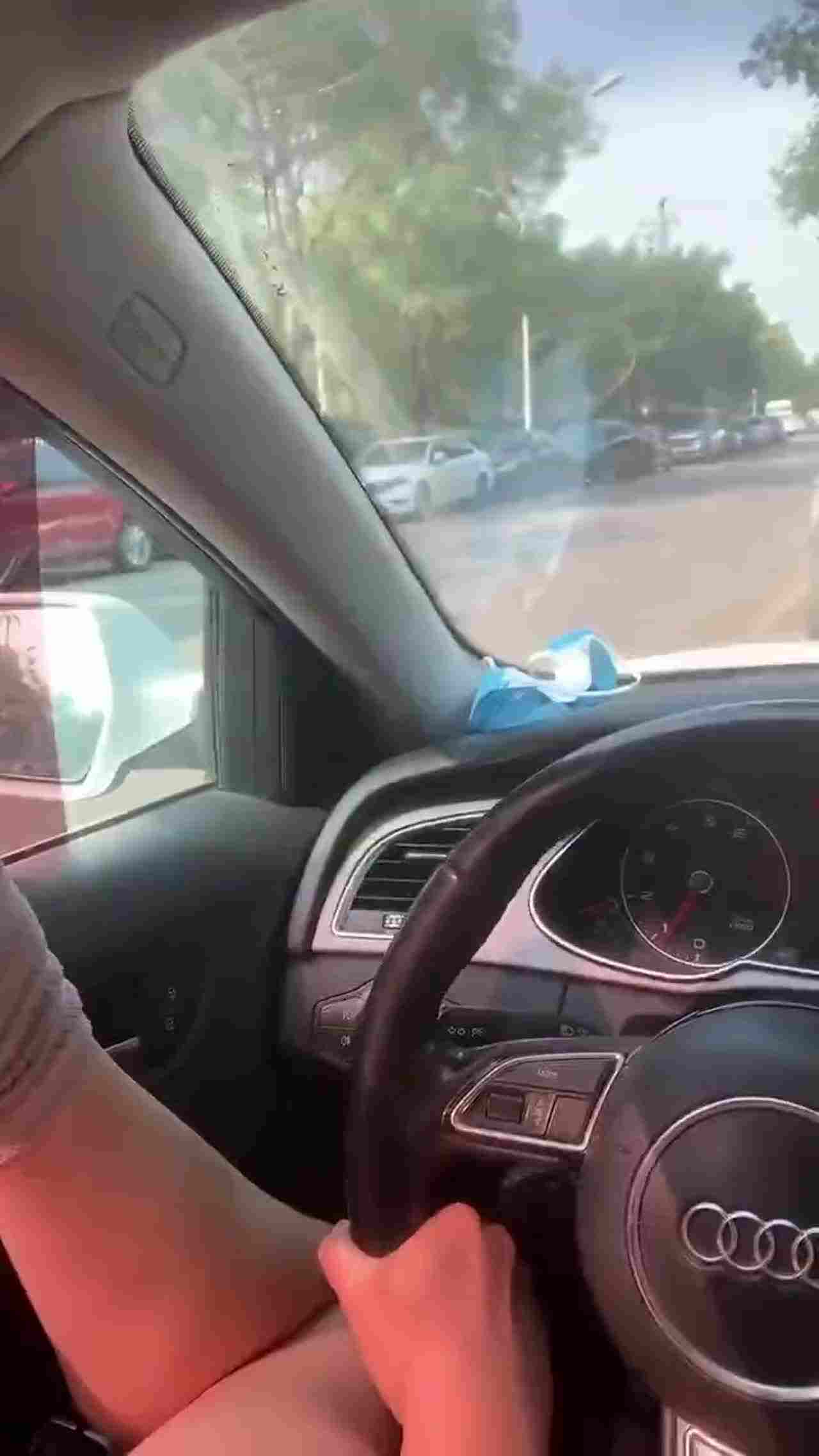  主驾驶的骚逼 的剧照10