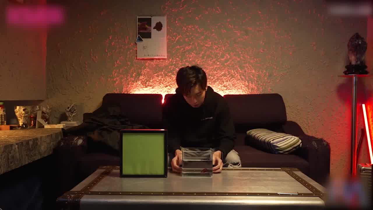  皇家华人 乐奈子 金鱼的报恩 情人节限定宠物女友 的剧照7