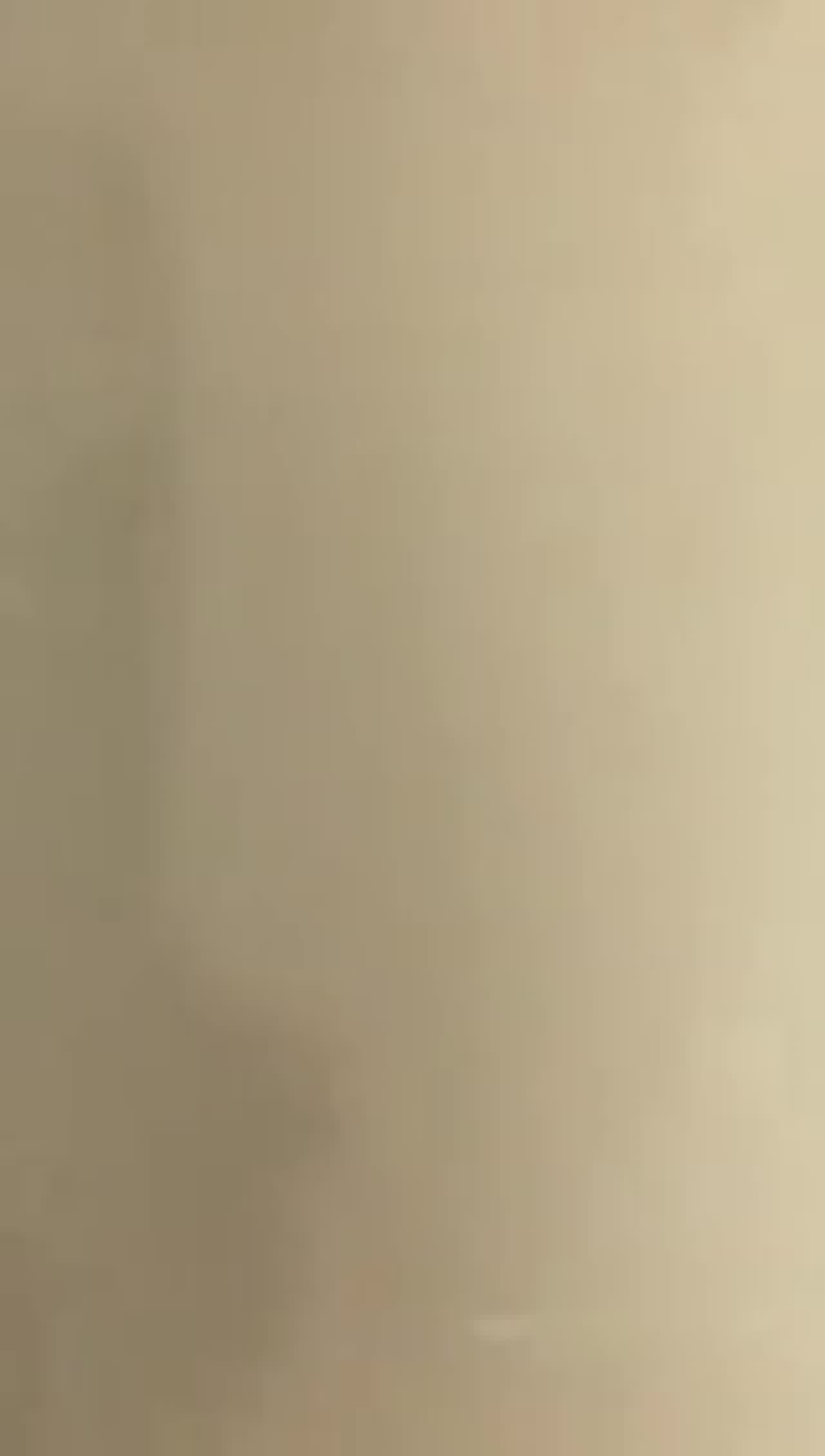  气质贵气少妇实在诱人 的剧照10