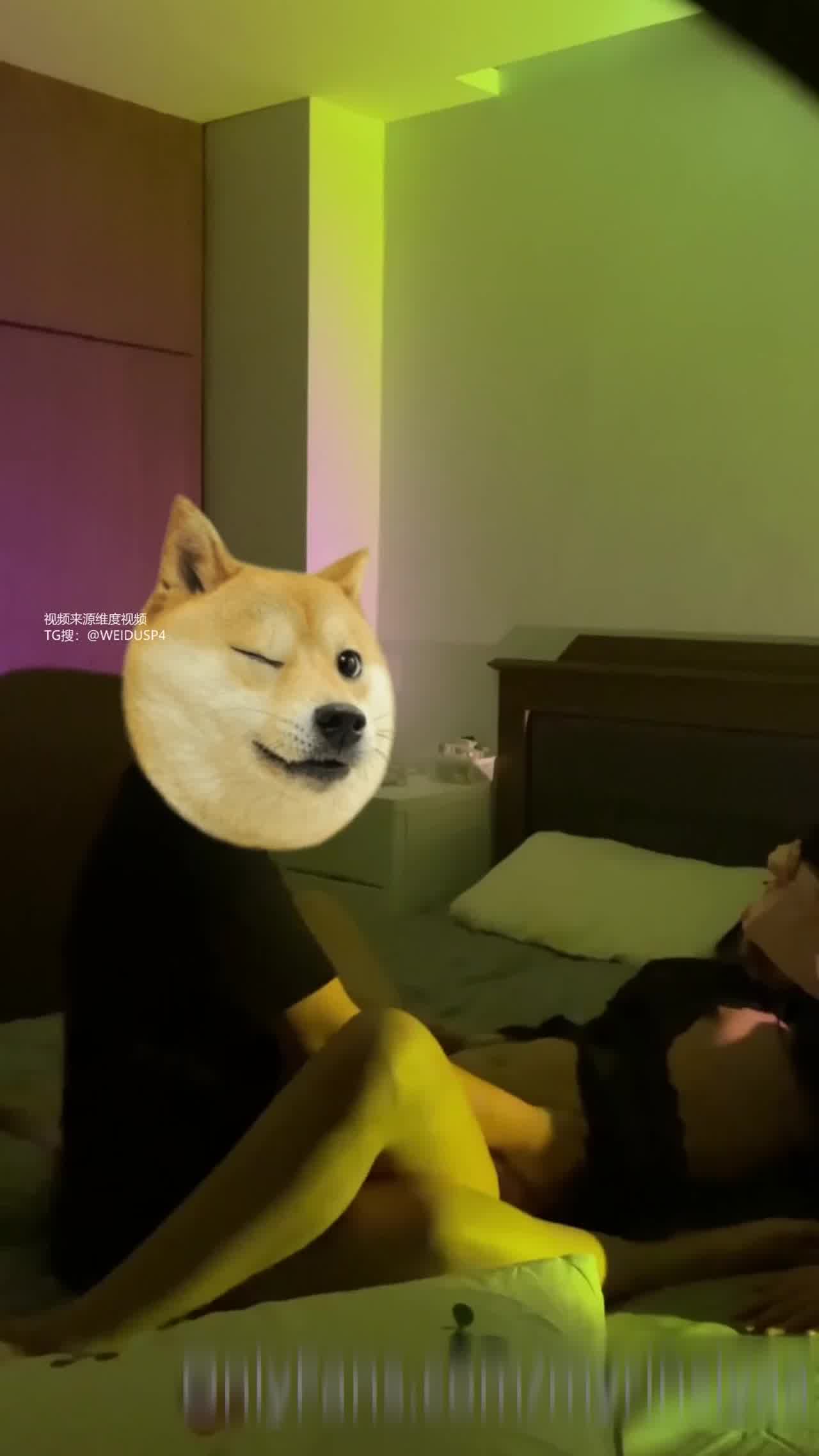  精美骚鲍 用手指就能高潮 的剧照1