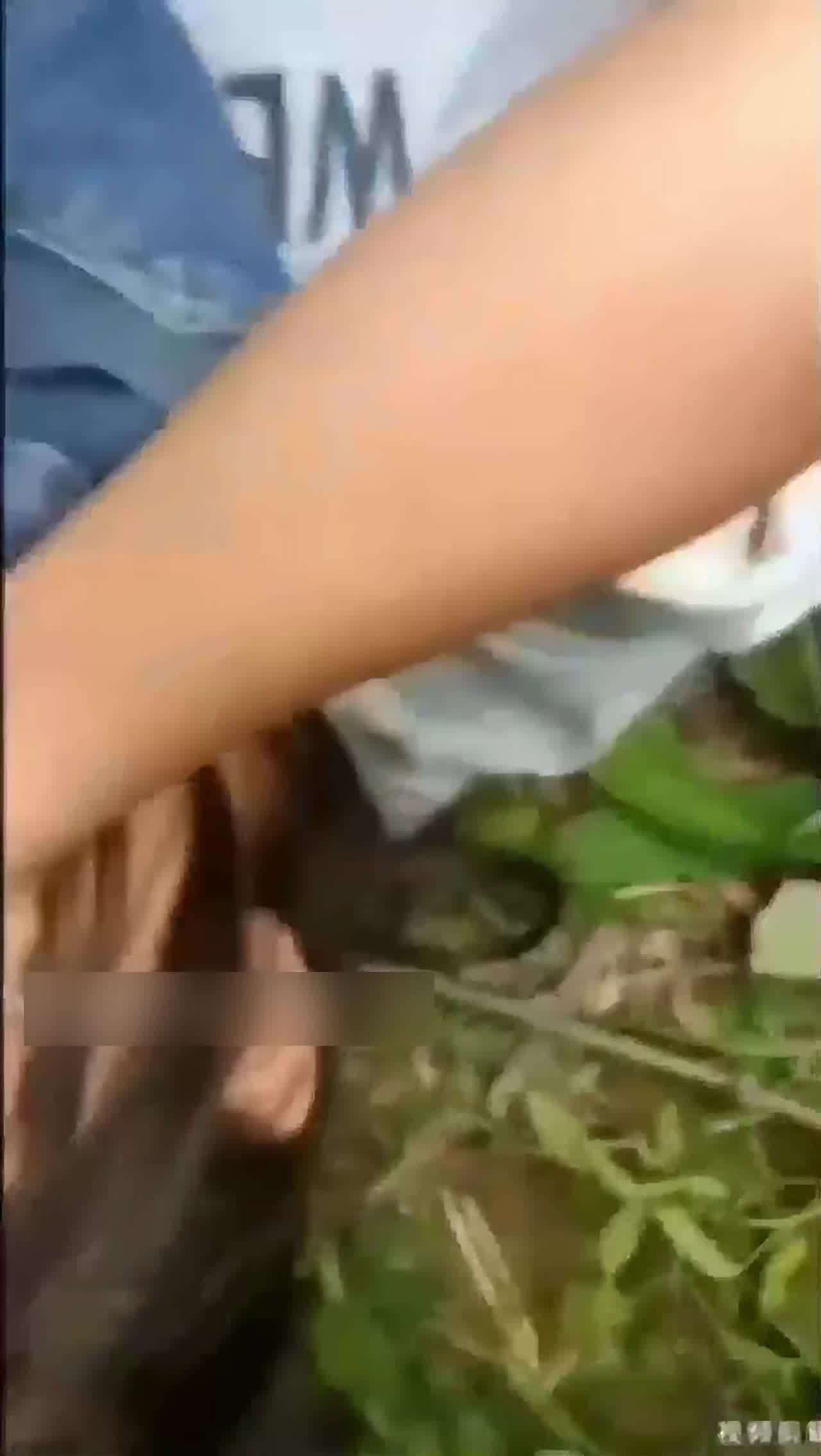  【原始兽性】公路野外强奸猥亵精选 女性的反抗只能坚持一会放弃捂脸了！ 的剧照4