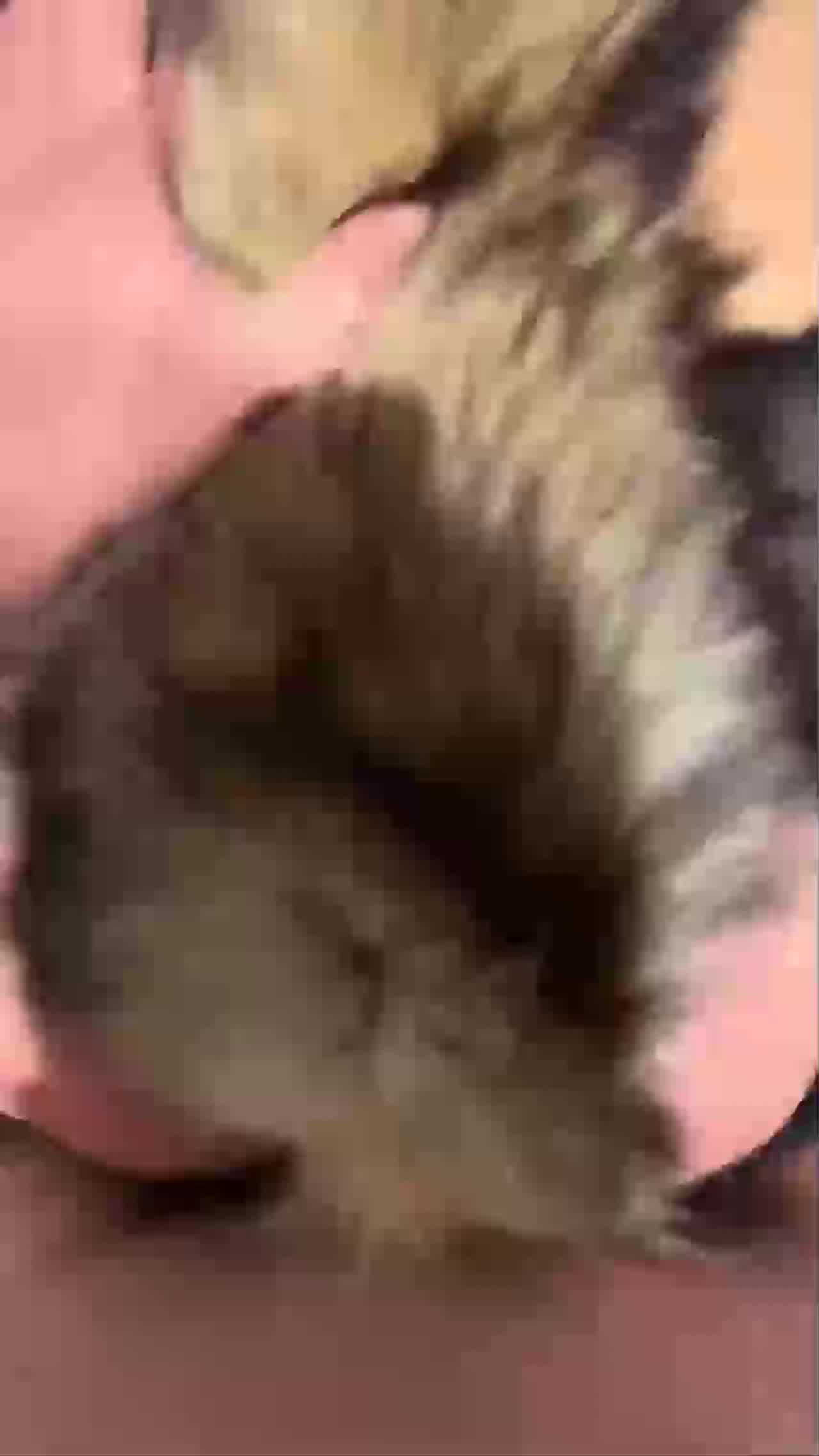  激情3P肉夹馍骚逼小骚货被两个猛男上下夹着操双洞齐插连续 的剧照2